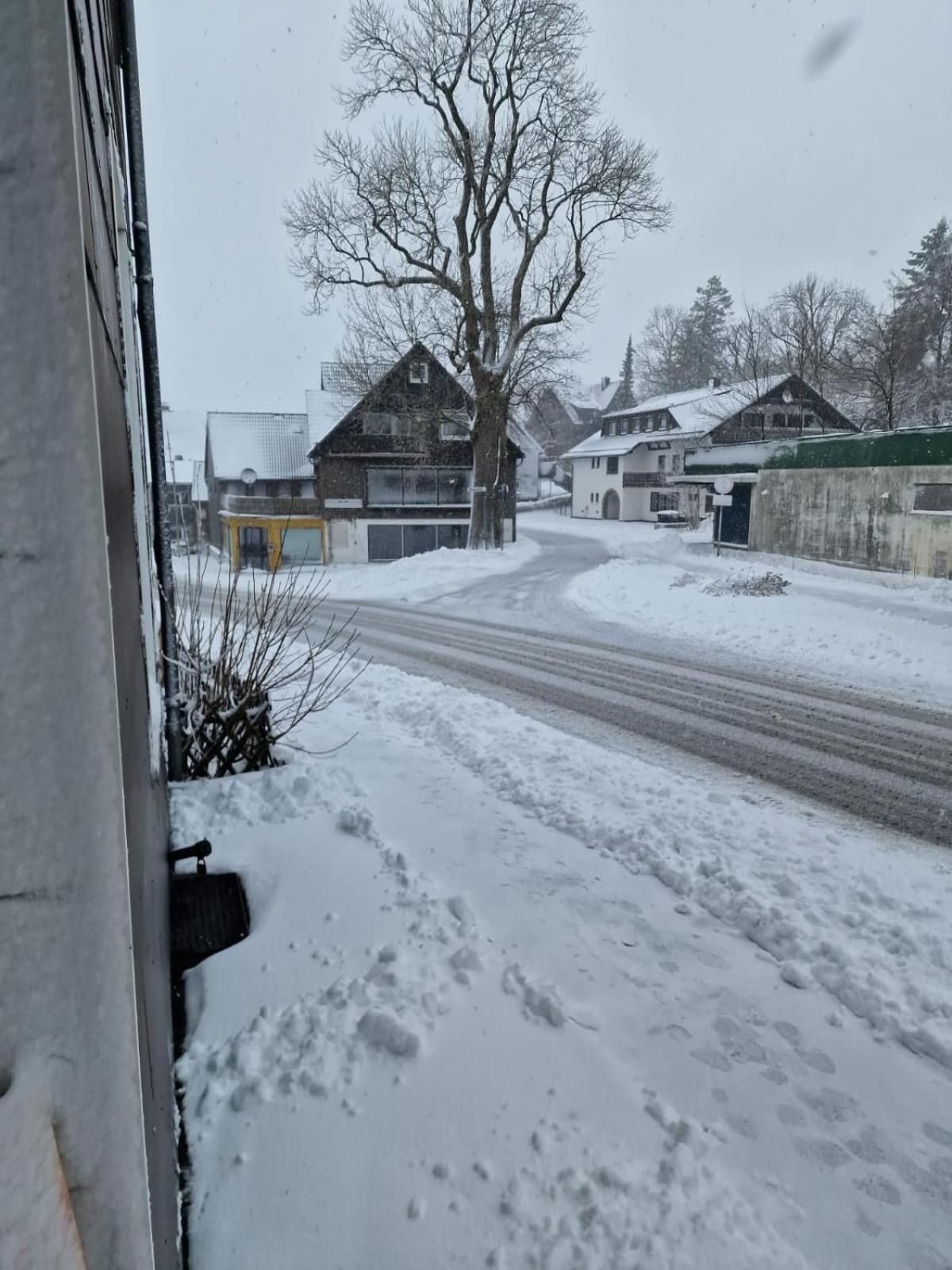 Mikes Fewo Braunlage Extérieur photo